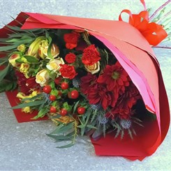 Just Beautiful Christmas Blooms